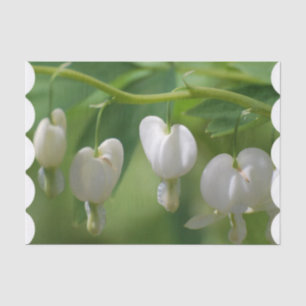 Delicate White Bleeding Heart Tissue Paper