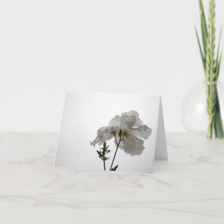 Delicate White Card