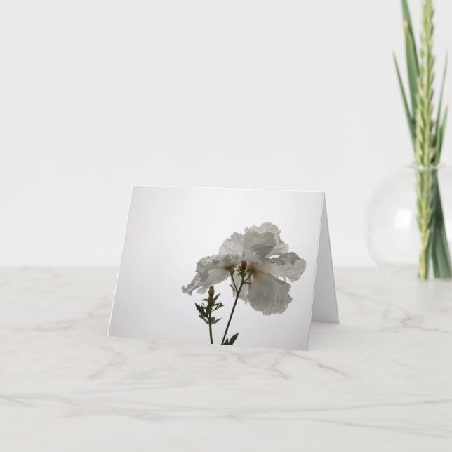 Delicate White Card (Front)