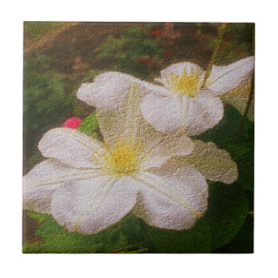 Delicate White Clematis Flower Tile