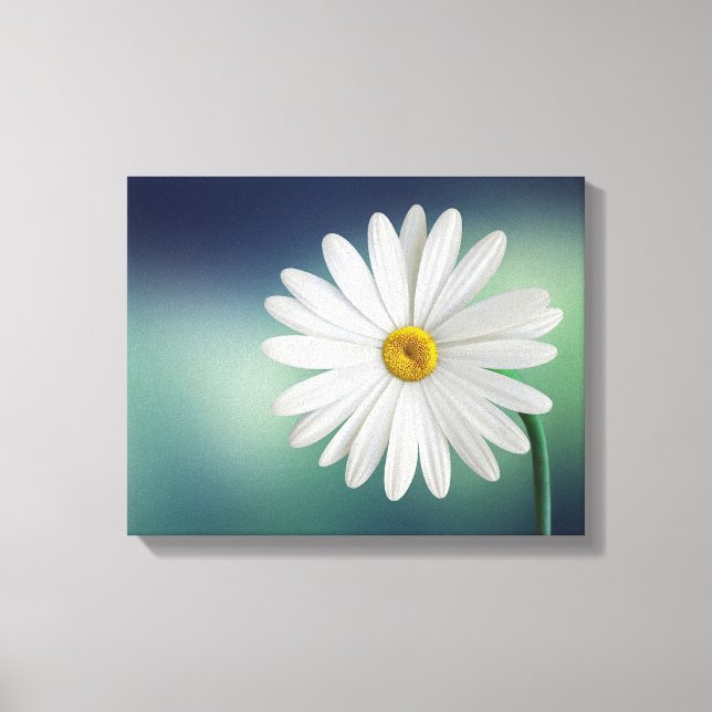Delicate White Daisy Canvas Print (Front)