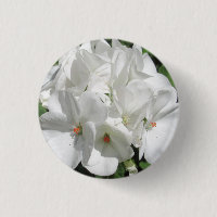 Delicate White Geranium Flower Photo  
