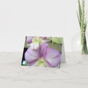 Delicate white & purple orchid on a Thank You Card