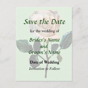 Delicate White Rose Save the Date Announcement Postcard