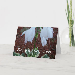 Delicate white Sun Hosta Flowers on a Sympathy Card