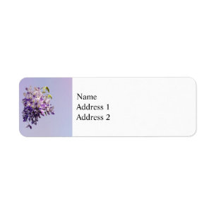 Delicate Wisteria