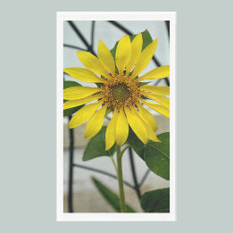 Delicate Yellow Sunflower Napkin