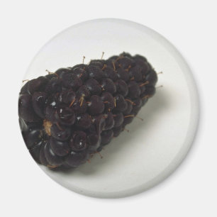 Delicious Blackberry Magnet