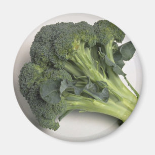 Delicious Broccoli Magnet