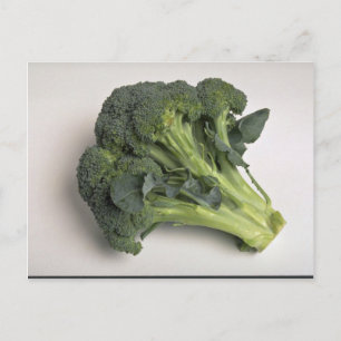 Delicious Broccoli Postcard