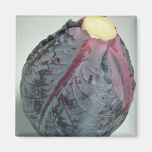 Delicious Cabbage Magnet