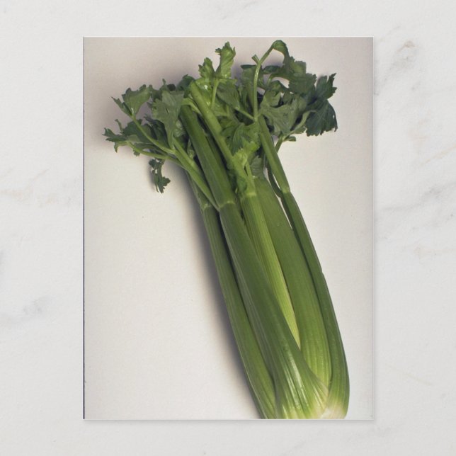 Delicious Celery stalk Postcard (Front)