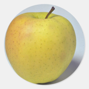 Delicious Golden Delicious apple Classic Round Sticker