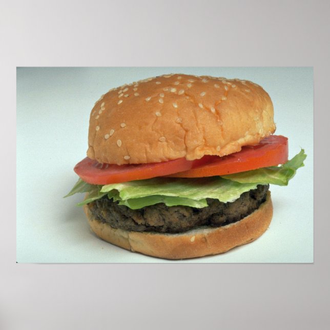 Delicious Hamburger Poster (Front)