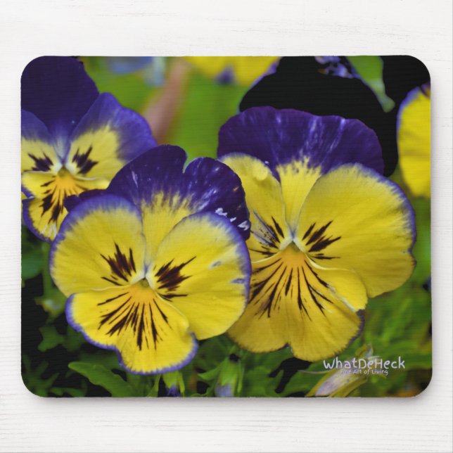 Delicious Mouse Mat (Front)