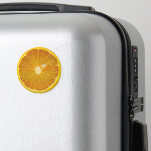 DELICIOUS ORANGE SLICE MAGNET
