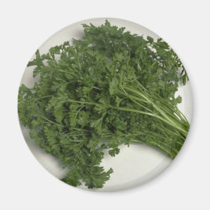 Delicious Parsley Magnet