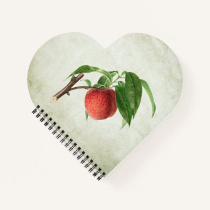 Delicious Peach in a Branch Notebook
