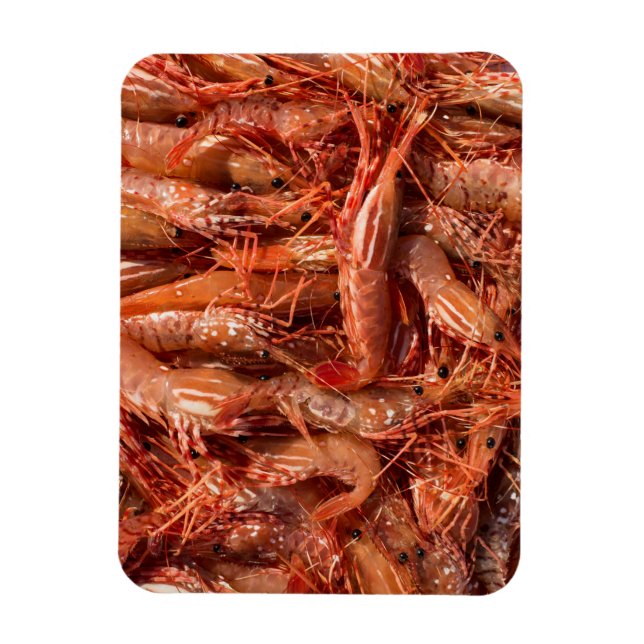 Delicious Prawns Magnet (Vertical)