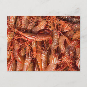 Delicious Prawns Postcard