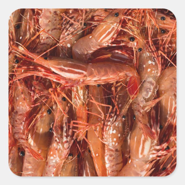 Delicious Prawns Square Sticker (Front)
