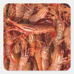 Delicious Prawns Square Sticker