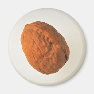 Delicious Walnut Magnet