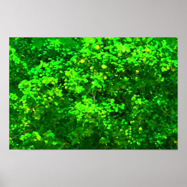 Delight Poster (Front)