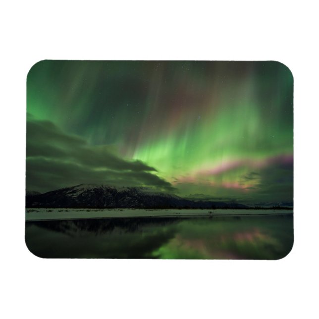 Delightful Aurora Magnet (Horizontal)