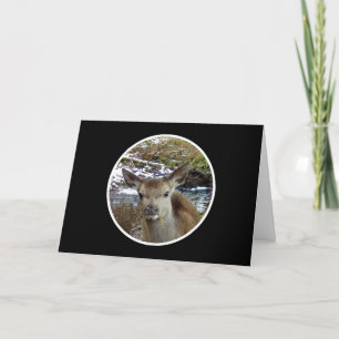 Delightful Baby Deer Peaceful Waters Edge Seasonal Card