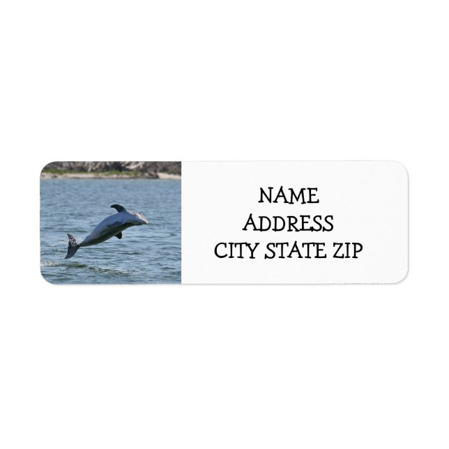 **DELIGHTFUL DOLPHIN** ADDRESS LABELS (Front)