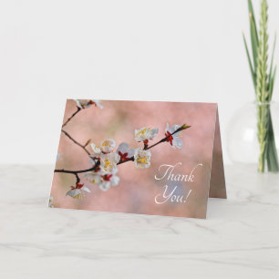 Delightful Japanese Apricot Flowers Thank You Card