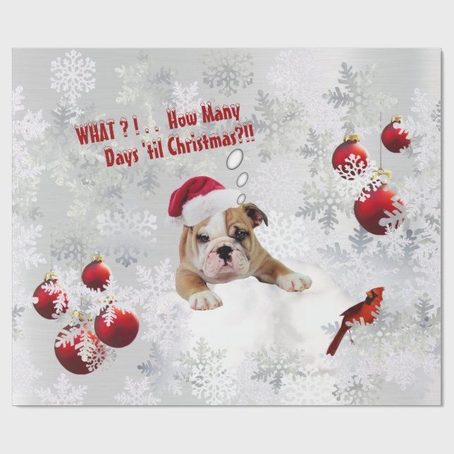 Delightful Sad Bulldog Puppy Christmas Gift Wrap (Flat)