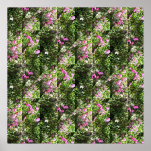 Delightful Sweetpeas.... Poster