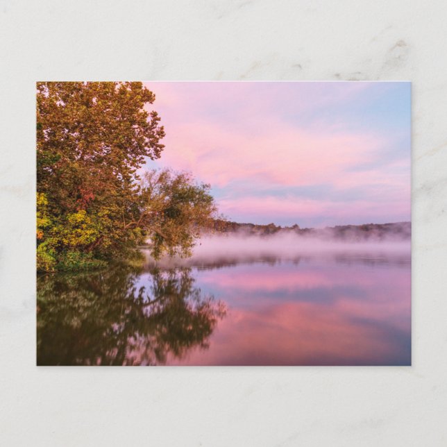 Delightfully Pink Morning Postcard (Front)