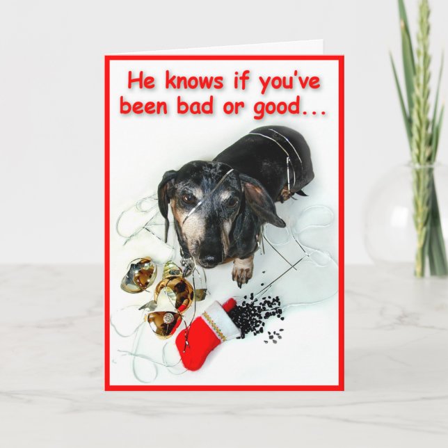 Delinquent Dachshund Christmas Card (Front)