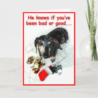 Delinquent Dachshund Christmas Card