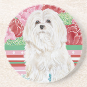 Della Rose Maltese Coaster