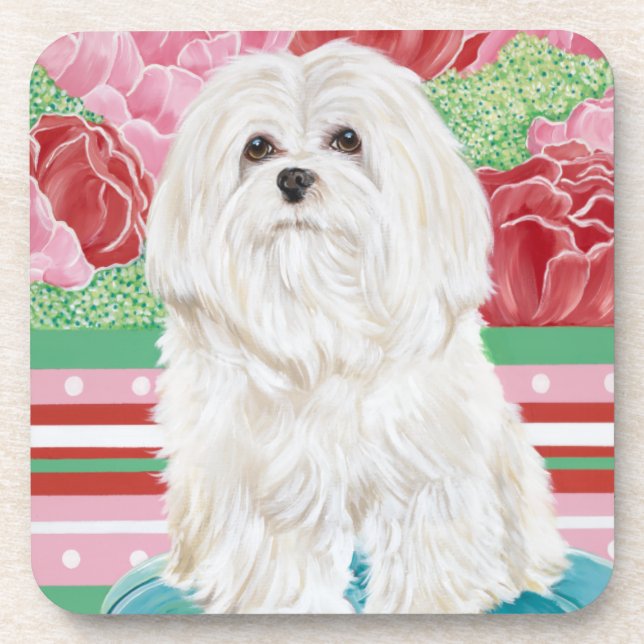 Della Rose Maltese Coaster (Front)