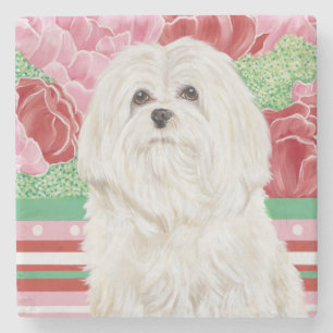Della Rose Maltese Stone Coaster