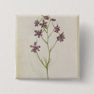 Delphinium ajacis, c.1568 15 cm square badge