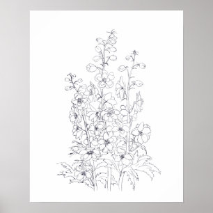 delphinium larkspur flower drawing poster