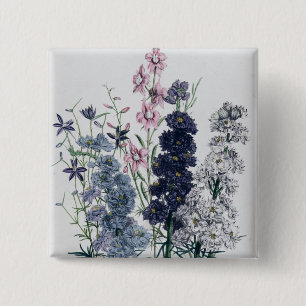 Delphiniums, from 'The Ladies' Flower Garden' 15 Cm Square Badge