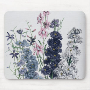 Delphiniums, from 'The Ladies' Flower Garden' Mouse Mat