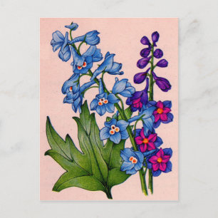 delphiniums in blue and purple postcard