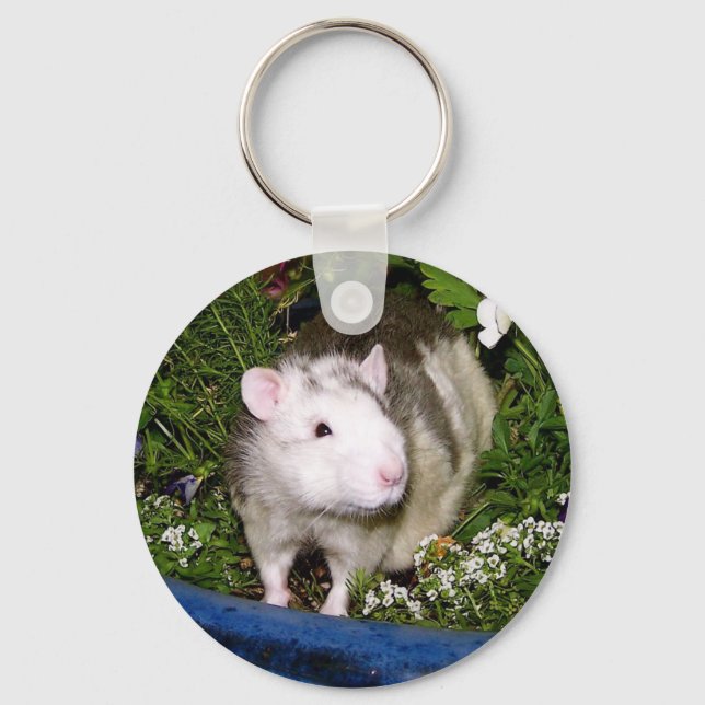 Delphiniums Key chain (Front)