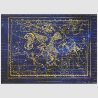 delphinus constellation tissue paper