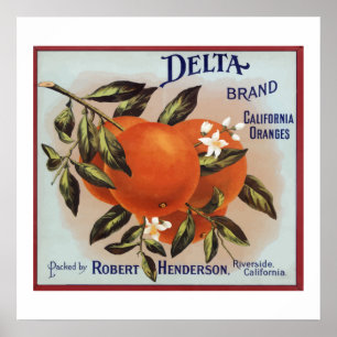 Delta Brand Oranges Fruit Labels Poster