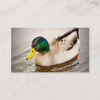 Delta Preserve Business Card