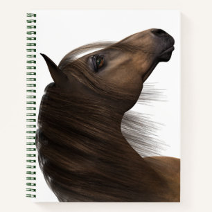 Deluxe Spiral Notebook